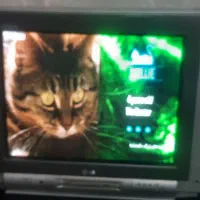 تلویزیون ال جی کره ای اصلی