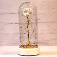 تولید فلکسی شیشه ی چراغدار