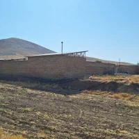 گاوداری صنعتی|فروش دفتر صنعتی، کشاورزی، تجاری|قلقل رود, |دیوار