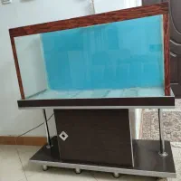 آکواریوم در محمدشهر