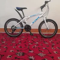 دوچرخه ویوا 20