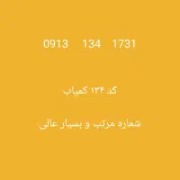 09131341731