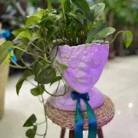 فروش و مشاوره گیاهان آپارتمانی