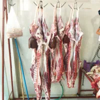 کهره،برهزندهوگوشتیدر،توابعارسنجان