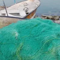 تور شیری و سنگسری