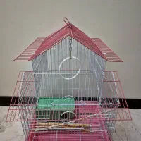 قفس پرنده|لوازم جانبی حیوانات|تهران, سازمان برنامه جنوبی|دیوار