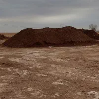 پخش کود گاوی پوسیده درجه یک