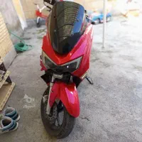 سگ نیه|حیوانات|سنندج, |دیوار