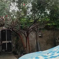 نگهبان ساختمان هستم  باغ ویلایی و..