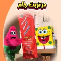 اجاره تن پوش عروسکی
