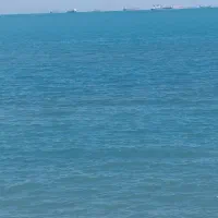 استخدام حمل و نقل