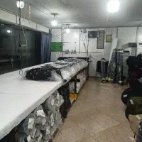 کار در تولیدی وسط کار