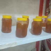 بادام تازه استانه|خوردنی و آشامیدنی|محمدیه-قزوین, |دیوار