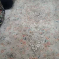 فرش ۱۲ متری ۷۰۰ شونه|فرش|توکهور, |دیوار