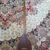 سه تار مهدی مفاخری همراه هاردکیس فومی و کتب ردیف