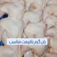 ران|خدمات پذیرایی، مراسم|کوهدشت, |دیوار