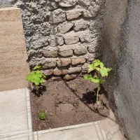 زمین فروشی