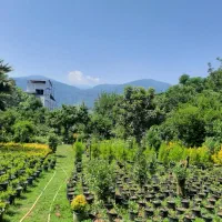 زمین مسکونی  ۱۱۰۰ متر|فروش زمین و ملک کلنگی|چابکسر, |دیوار