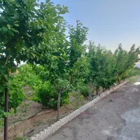 باغچه های شهرکی ۷۵۰،۱۰۰۰،۱۵۰۰  باسند،باغبان،نگهبان|فروش زمین و ملک کلنگی|زرندیه, |دیوار