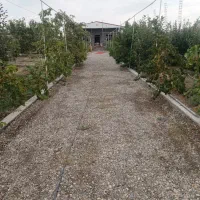 باغ۱۵۰۰متر جاده شیرین عسل