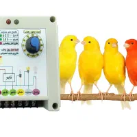 دیمر سالن پرنده،قناری