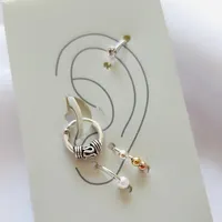 پرسینگ گوش نقره