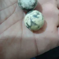 سنگ آسیاب خیلی قدیمی