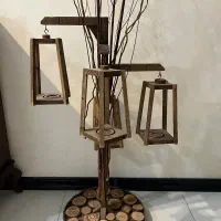 درخچه تزئینی نو