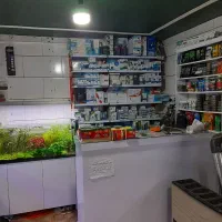 آکواریوم اورین|ماهی|خوی, |دیوار