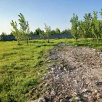 فروش زمین|فروش زمین و ملک کلنگی|رشت, سیا اسطلخ|دیوار