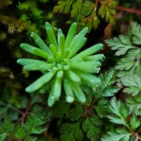 همسفر برای طبیعت|فعالیت داوطلبانه|رشت, چله خانه|دیوار