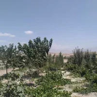 فروش زمین کلنگی تهرانپارس
