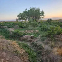 باغ و زمین موتور آب