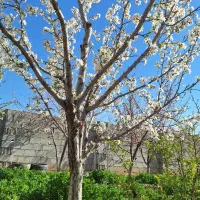 امتیاز زمین دانشوران نیروی انتظامی