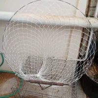 تور فنری کبوتر