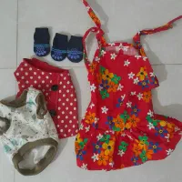 تجهیزات و وسایل سگ