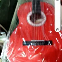 گیتار دیاموند با کیف