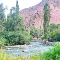 خانه باغ سنددار ۱۱۰۰ متری در روستای امن جاده چالوس|فروش خانه و ویلا|آسارا, |دیوار