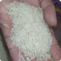 برنج طارم هاشمی