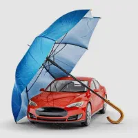 صدور انواع بیمه نامه به صورت اقساط بدون چک و سفته