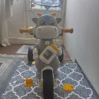 دوچرخه ماتادور دلیجان|کالسکه و لوازم جانبی|مشهد, رده|دیوار