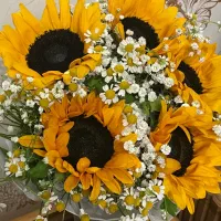 اجاره صندلی به همکار آرایشگر