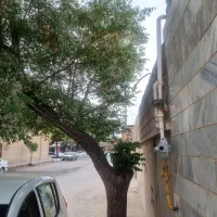 اجاره به ادارات مدارس آموزشگاهها و آرایشگاه