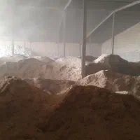 خریدار کاه گندم.کاه نخود.کاه عدس.کاه لوبیا|خدمات باغبانی و درختکاری|سنقر, |دیوار