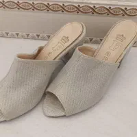 دمپایی مجلسی