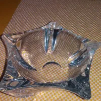 آجیل خوری ستاره ای بوهمیا