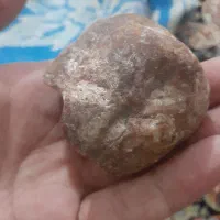 سنگ قیمتی|کلکسیون اشیاء عتیقه|شیراز, جمال آباد|دیوار