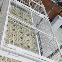 رگال قفسه|فروشگاه و مغازه|خمینی‌شهر, |دیوار