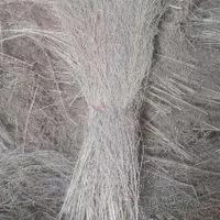 جارو مخصوص دسته و شهرداری