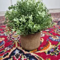 گلدان بامبو تزیینی